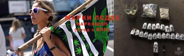 apvp Алексин