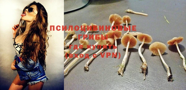 тгк Алзамай
