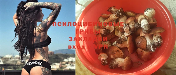 a pvp Алексеевка