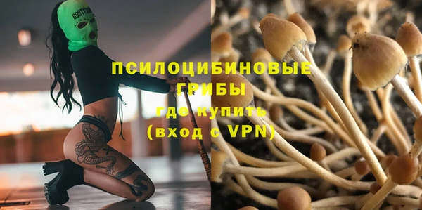 a pvp Алексеевка