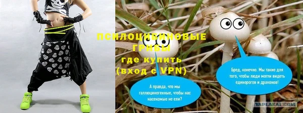 apvp Алексин