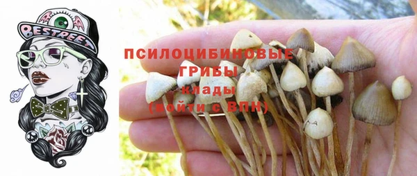 apvp Алексин