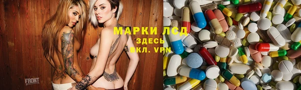 apvp Алексин